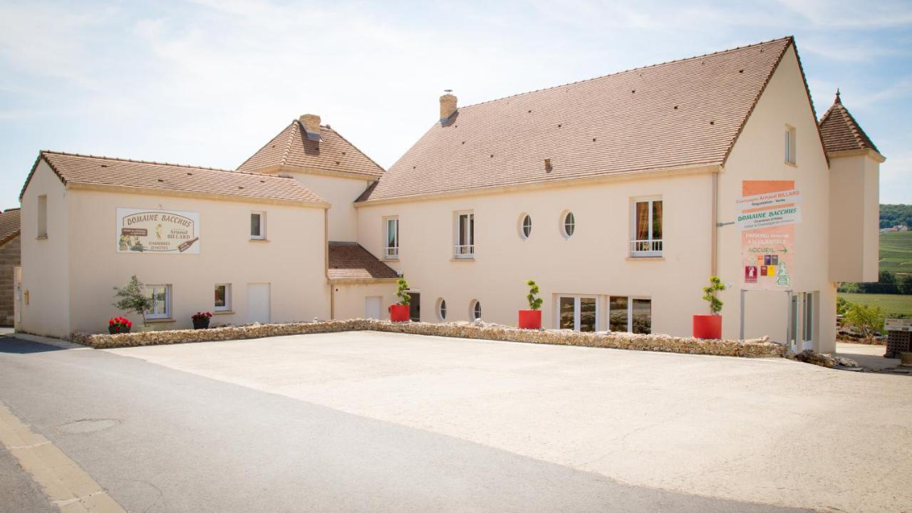 Bed and Breakfast Domaine Bacchus Reuil-sur-Marne Экстерьер фото
