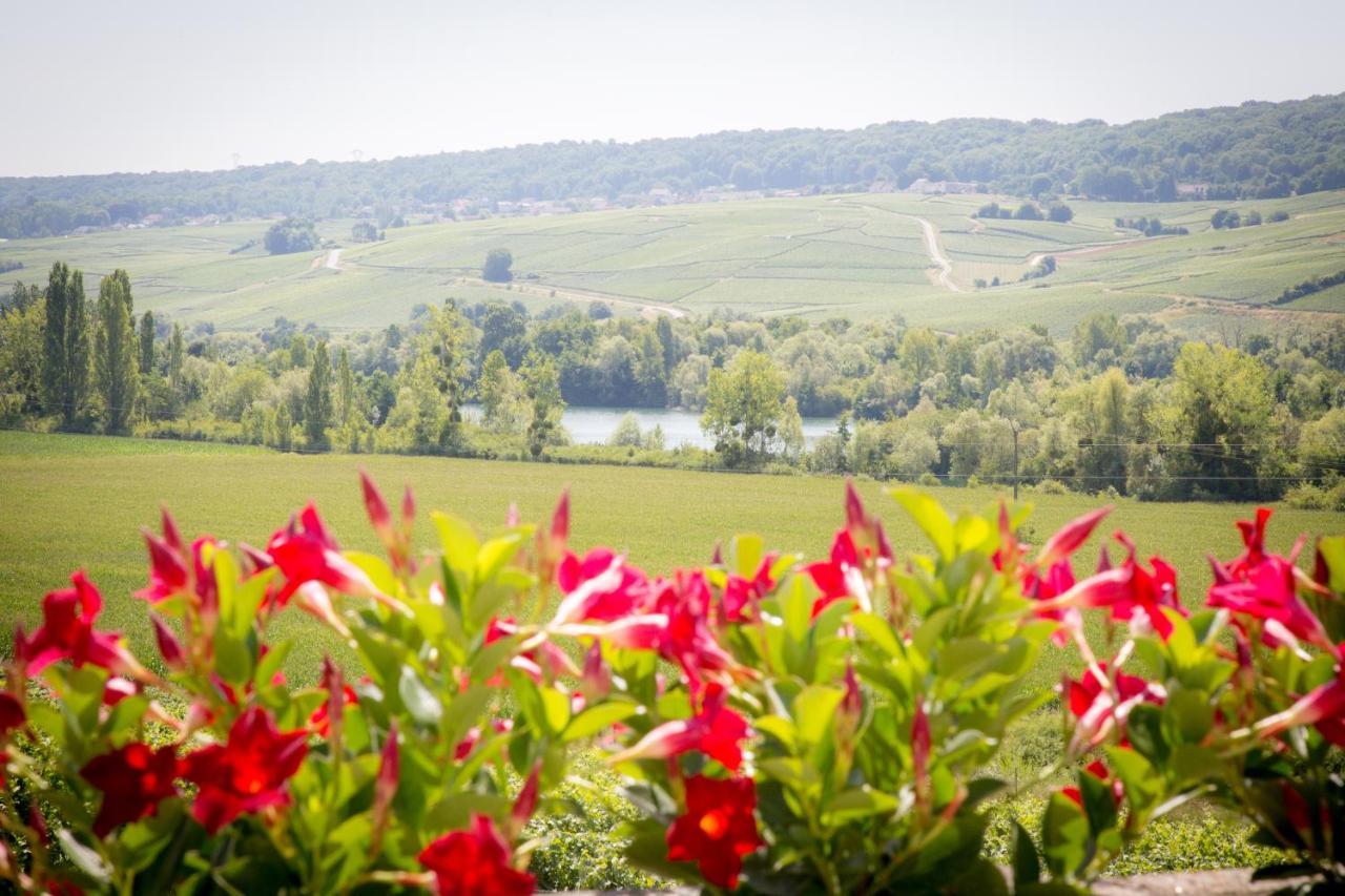 Bed and Breakfast Domaine Bacchus Reuil-sur-Marne Экстерьер фото